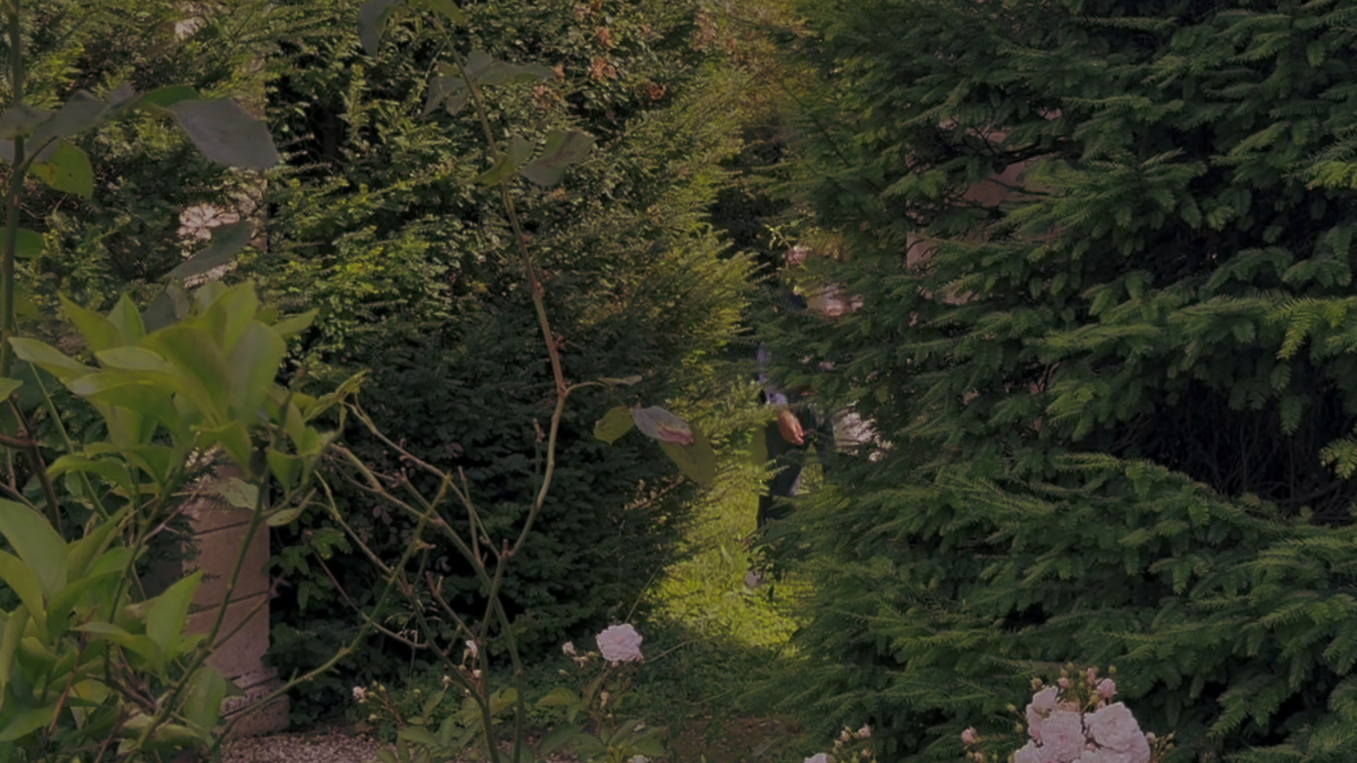 The LEFREAKCESTCHICC collection, filmed at the villa